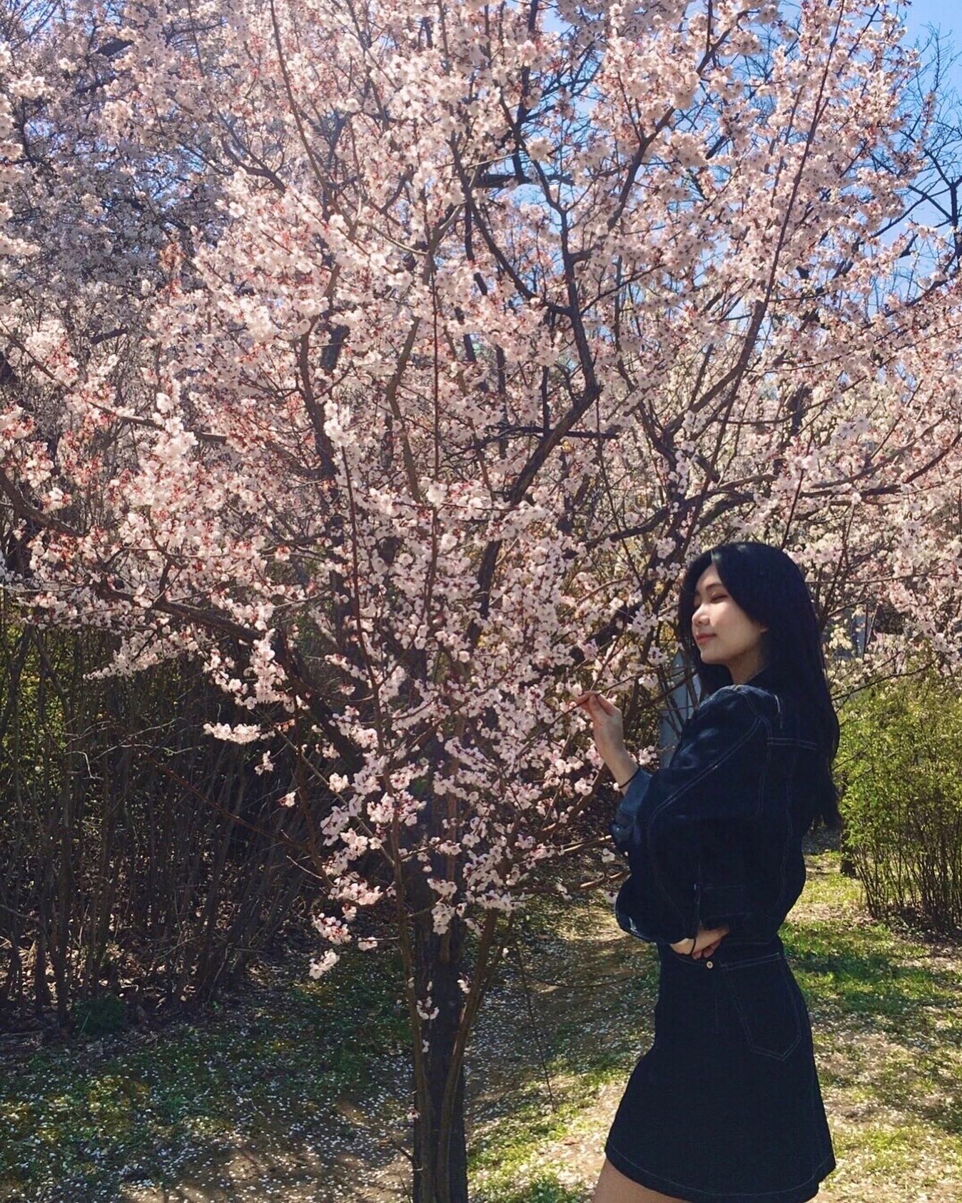 🌸
