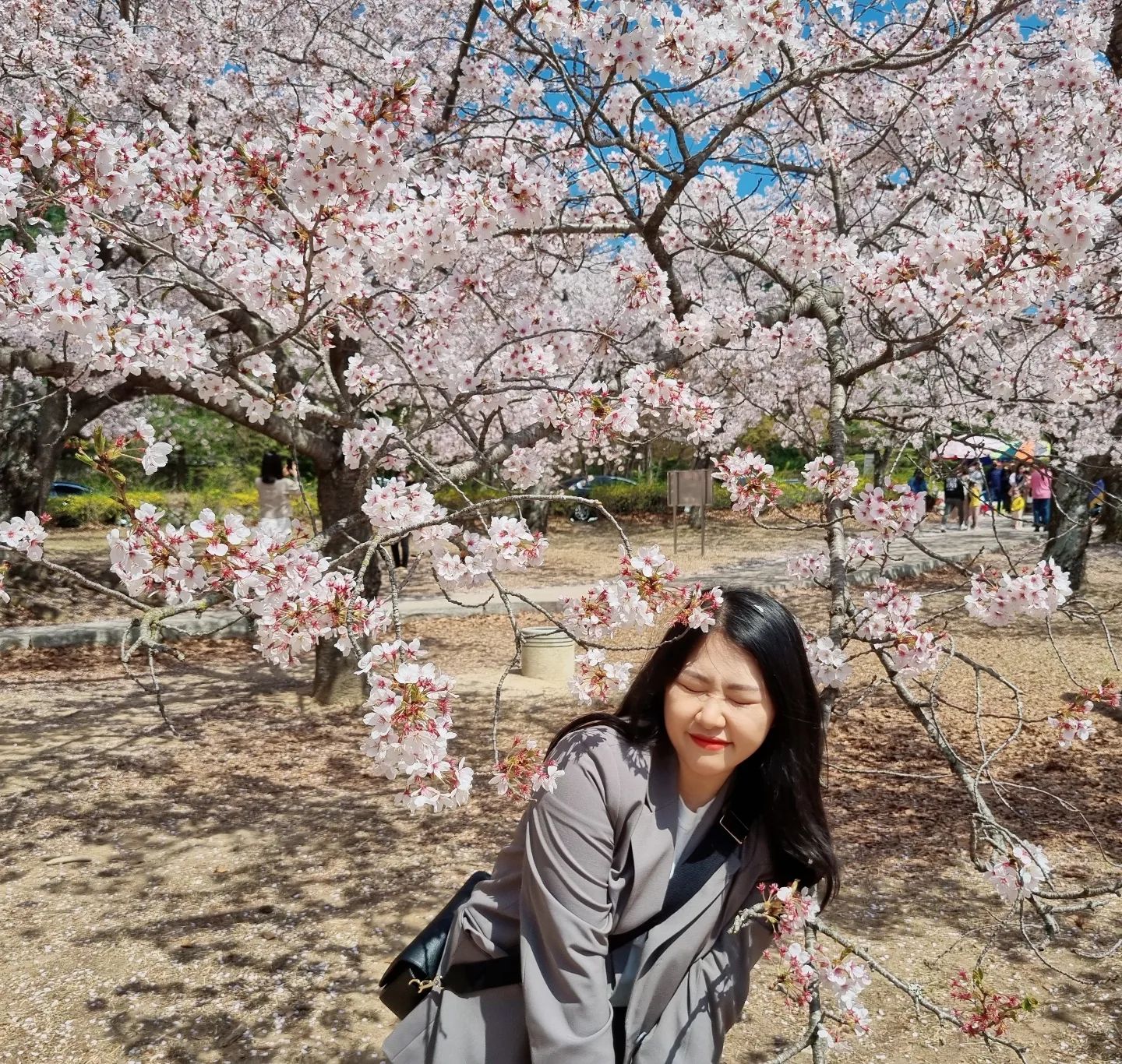 여유로운 일상🌸
#벚꽃 #벚꽃구경
