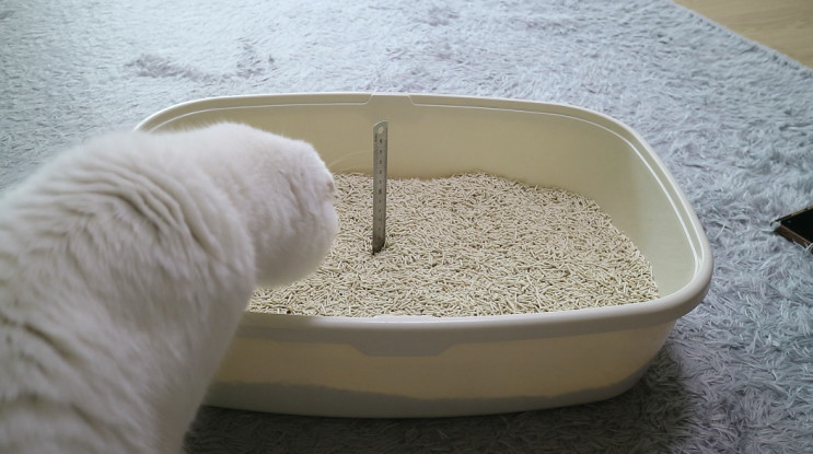 [팻프렌즈 쿠폰 초대코드] 샌드바이블 / 고양이 두부모래 오리지날 7L