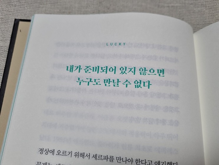 [자기계발서 추천] 럭키 스페셜 에디션(김도윤 작가)