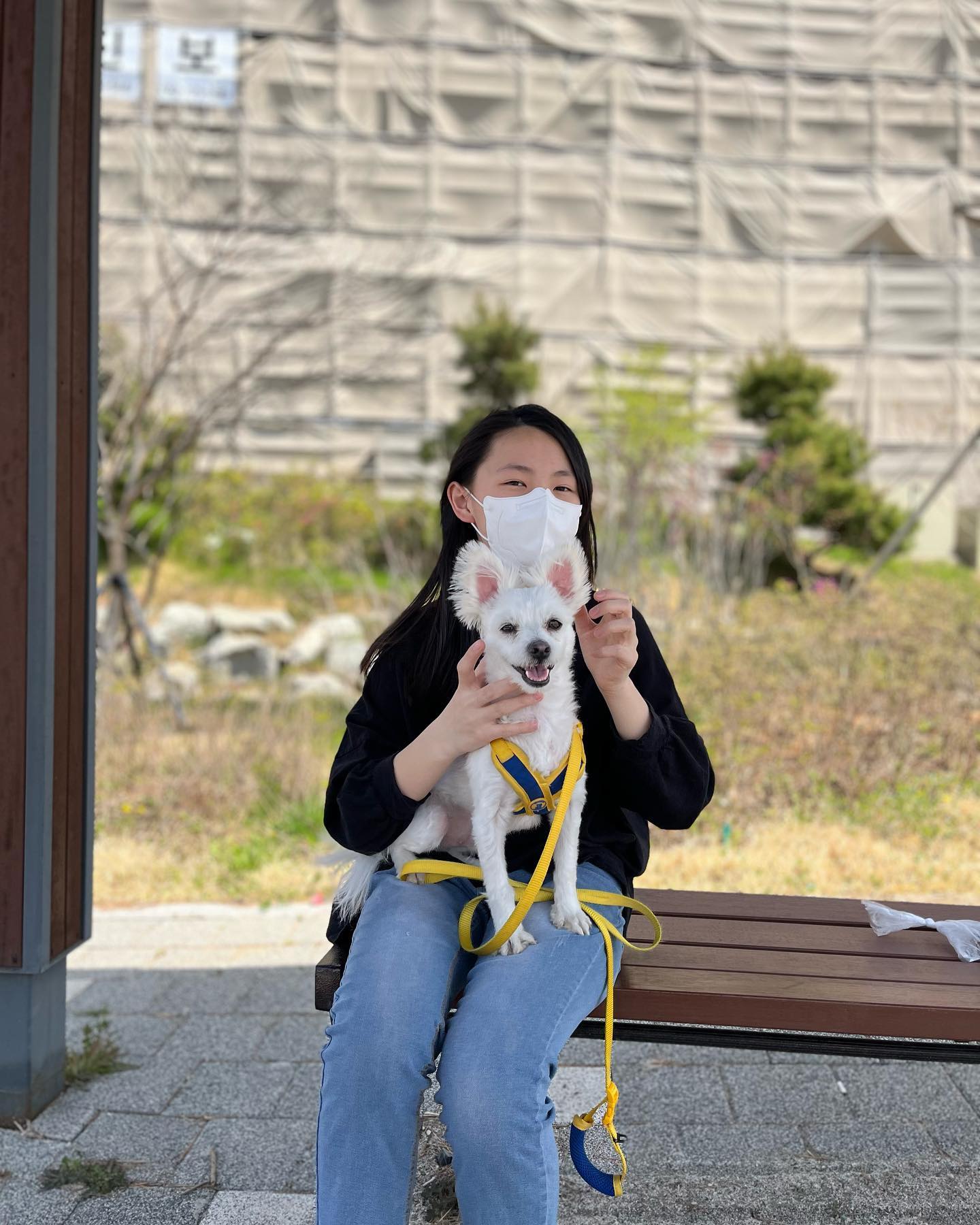 #벚꽃🌸 
진짜 산책가기 좋은 날
아들램은 이제 안따라다녀서
사진이 없네 ㅠㅠ
그래도 이쁜 딸램 사진 많이 찍기❤️
벚꽃사진도 마스크 벗고 찍고 싶네
이쁜 미소 보고싶당 ^^

 #산책하기좋은날 
#딸램 #강아지사진
#봄이왔나봄 #함께찍는사진 
#벚꽃이젠안녕_내년에보자
