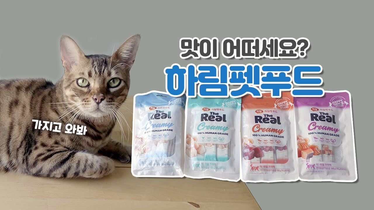 고양이 사료 소개를 가장한 고냠미 자랑 영상 (귀여우니까 꼭 봐주세요🐈) | 겟앤쇼 브이스탁