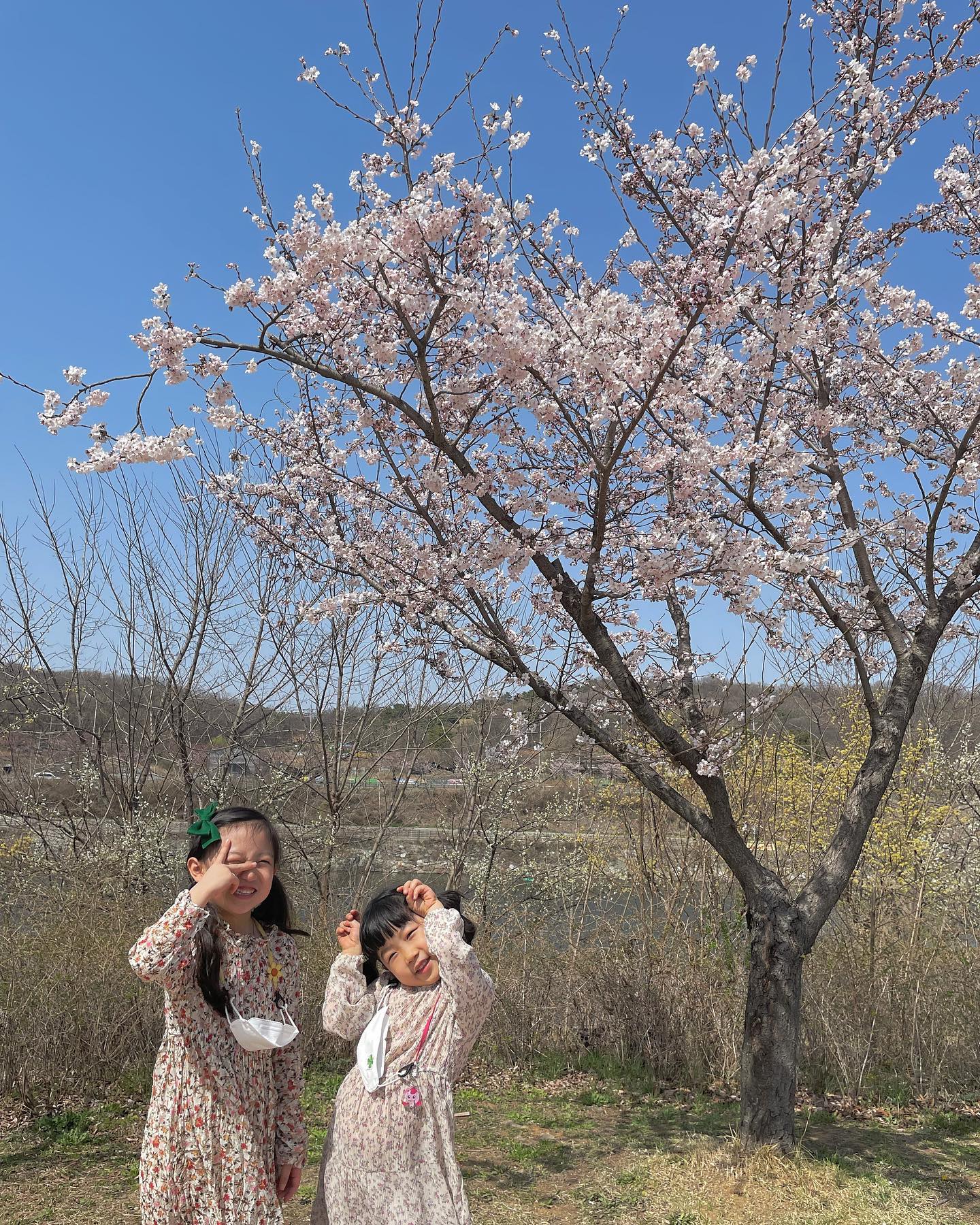 둘 낳기 잘했다 싶은 요즘-
동생 책도 읽어주고 글자공부도 시켜주고
너무 기특해💛

milibam_official

#아동복 #예쁜아동복 #봄옷