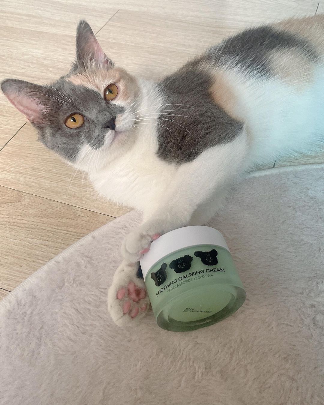 유진경 on Instagram: “#협찬 강아지 고양이의 소중한 발바닥 피부를 케어할 (푸치마켓) 수딩 카밍크림을 소개해드릴게요❣️✨ 눈에보이지 않는 각질, 건조함, 습진을 잡아줄 수딩 크림인데