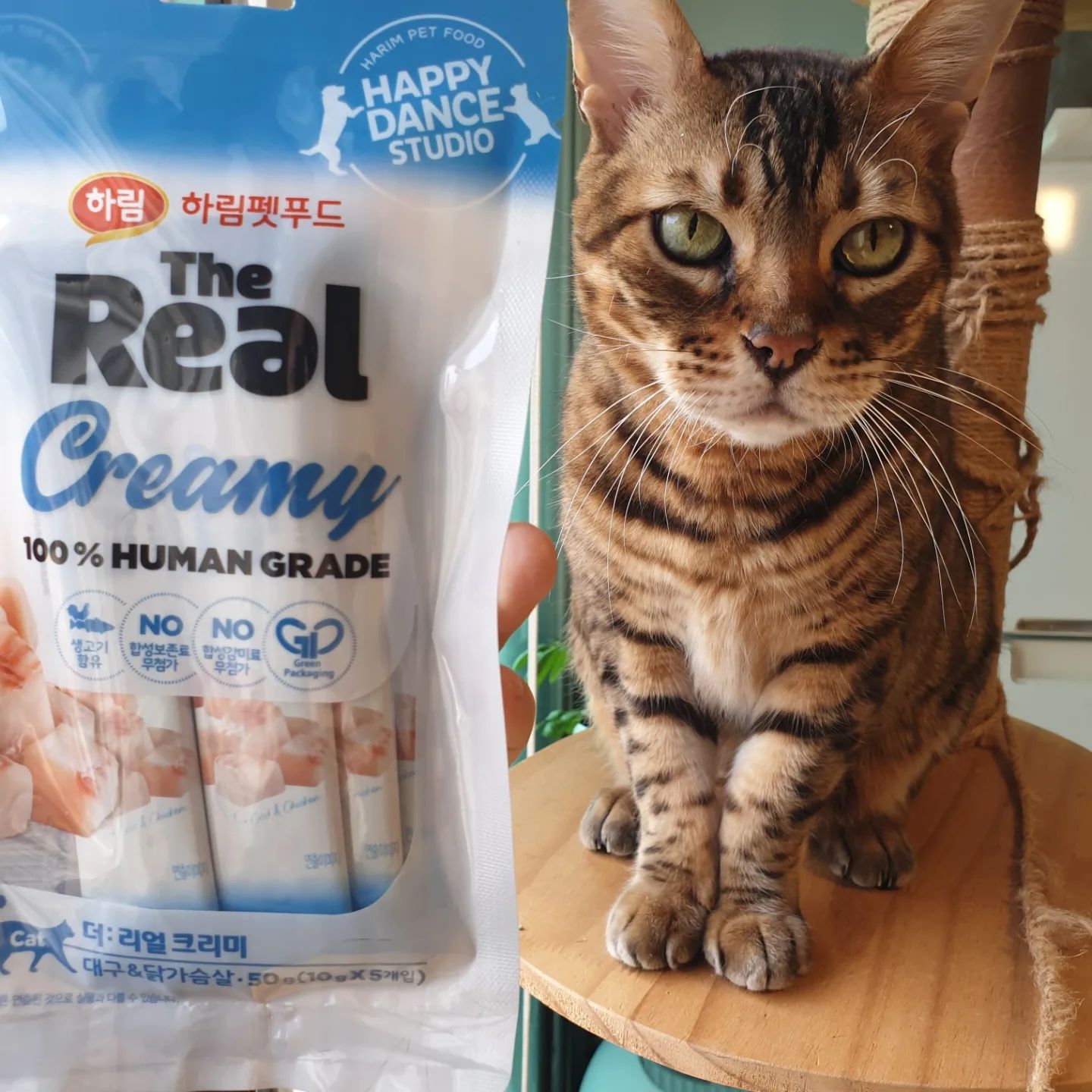 #광고 용팝이가 좋아하는 더리얼 크리미
하림에서 만든 휴먼그레이드 제품이라 더 믿고 먹일수 있습니다 😺
.
.
.
상품 구매링크 https://infler.kr/cxn1B2sxyE
브이스탁 바로가기 https://vstocklab.com
지금 보고계신 콘텐츠는 브이스탁에서 소정의 원고료를 받아 제작하였습니다.
#브이스탁 #vstock #vstock_official #인플러 #고양이츄르 #짜먹는고양이간식 #고양이간식 #스틱고양이간식 #고양이간식참치 #고양이간식닭가슴살 #더리얼크리미 #하림펫푸드