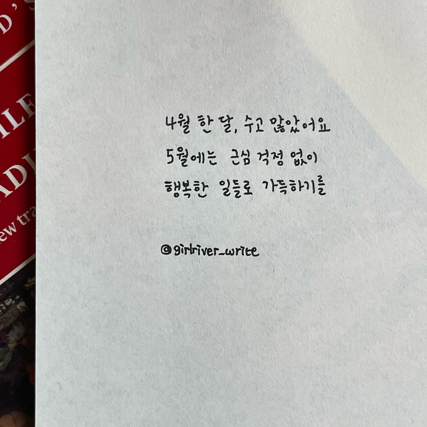 뒤로 넘기면 귀여운 사진 다 많지롱-♥︎. 벌써 5월이라니 시간 너무 빨라요.. 그쵸❔