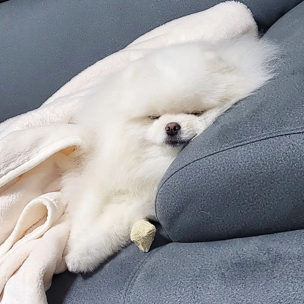 ت 
오늘은 주말 😝
그냥 다 귀찮은 하루인가보다 🤭
