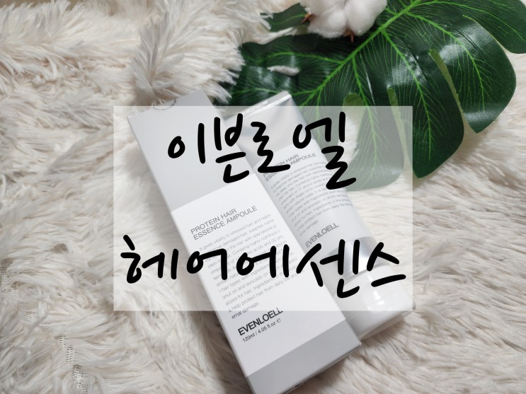 단백질 가득한 자이언트켈프 헤어에센스 추천 "이븐로엘 헤어에센스"