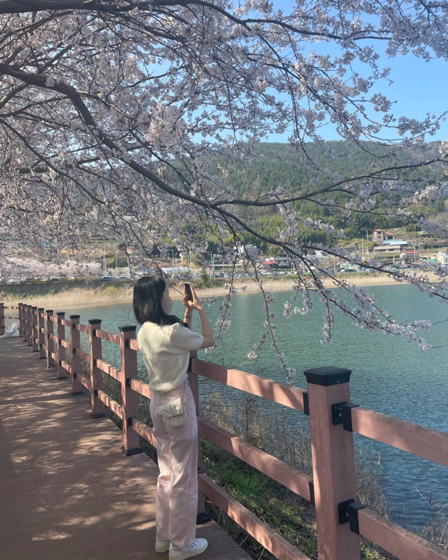 새로운 벚꽃 스팟 찾은 날 ! 🌸
내년에도 야무진 손이랑 또 오기 약속 💛