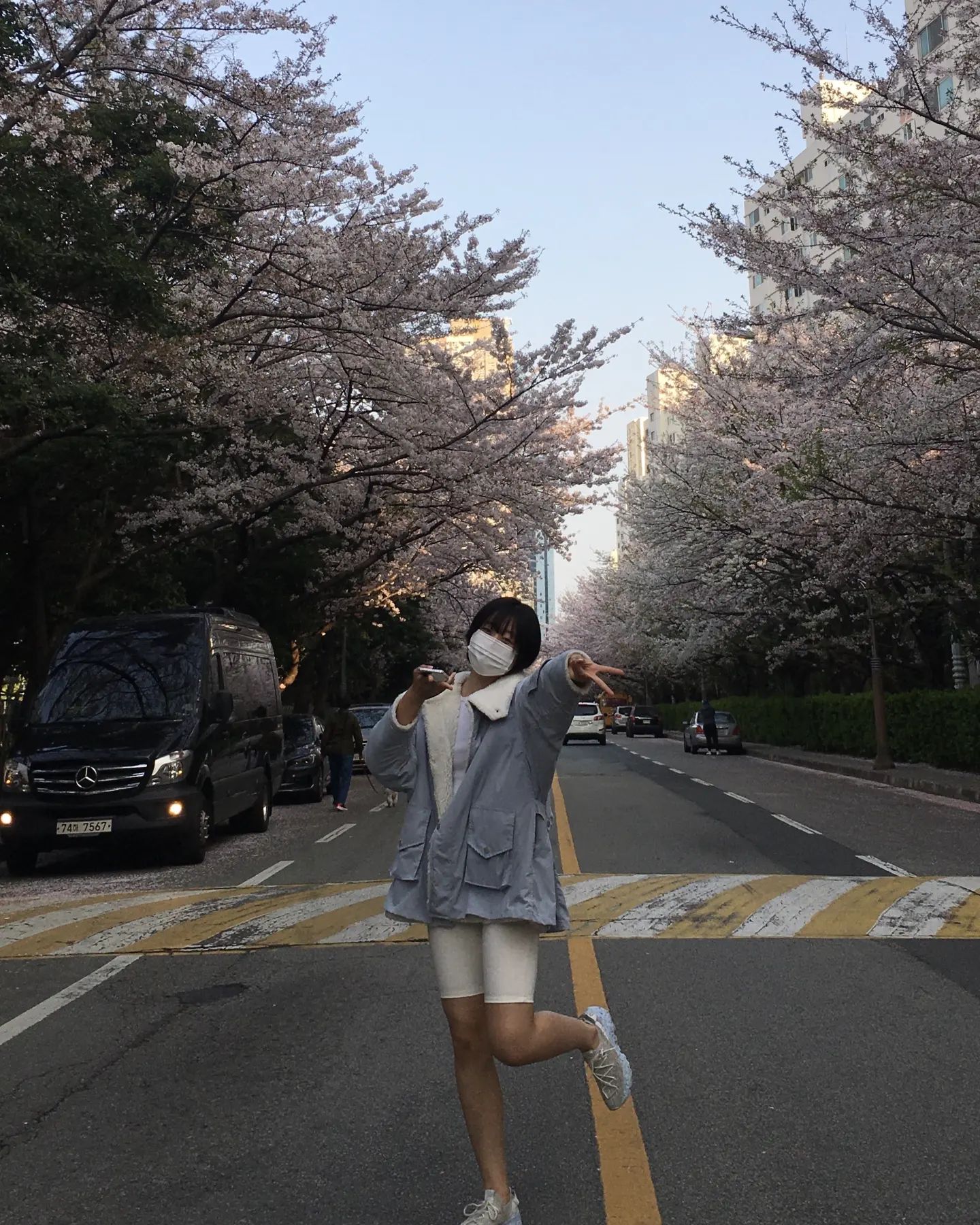 그리운 벚꽃과... 갸루브이✌🏻