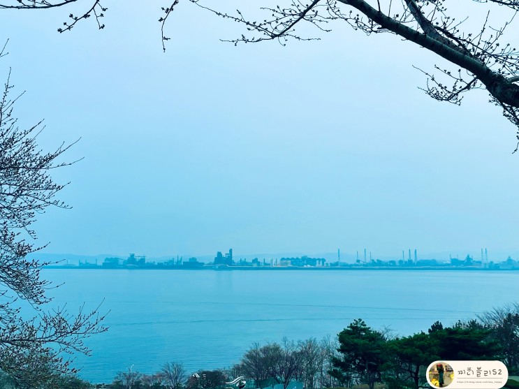 [포항 여행] 포항여행하고 경북 텀블러 투어 참여하기!