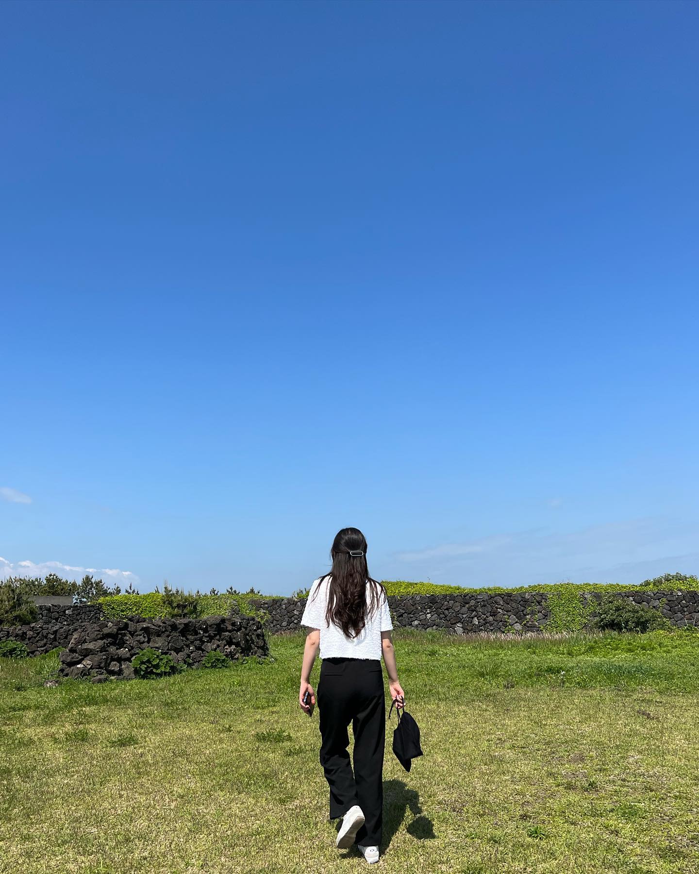 🪨🍃