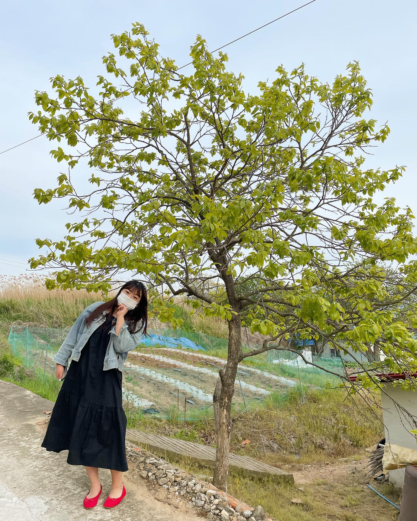 오월의 어느 봄 날 🍃