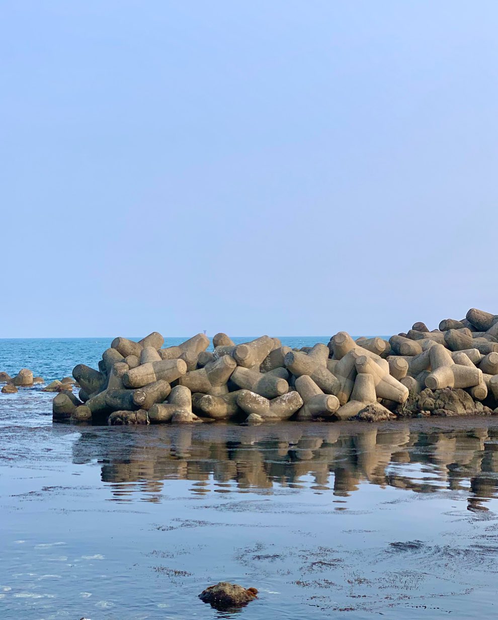 3월 사진부터 순서대로 올리기✨