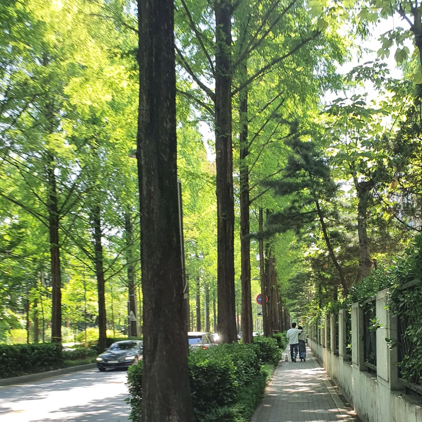봄 #산책
