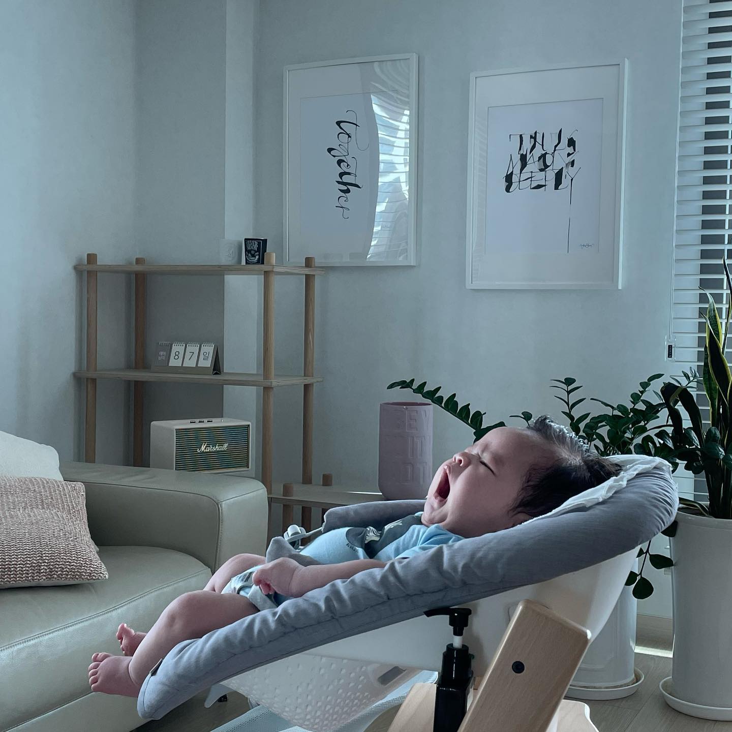 하아ㅏㅏㅏㅏ품🥱😴🥱😴