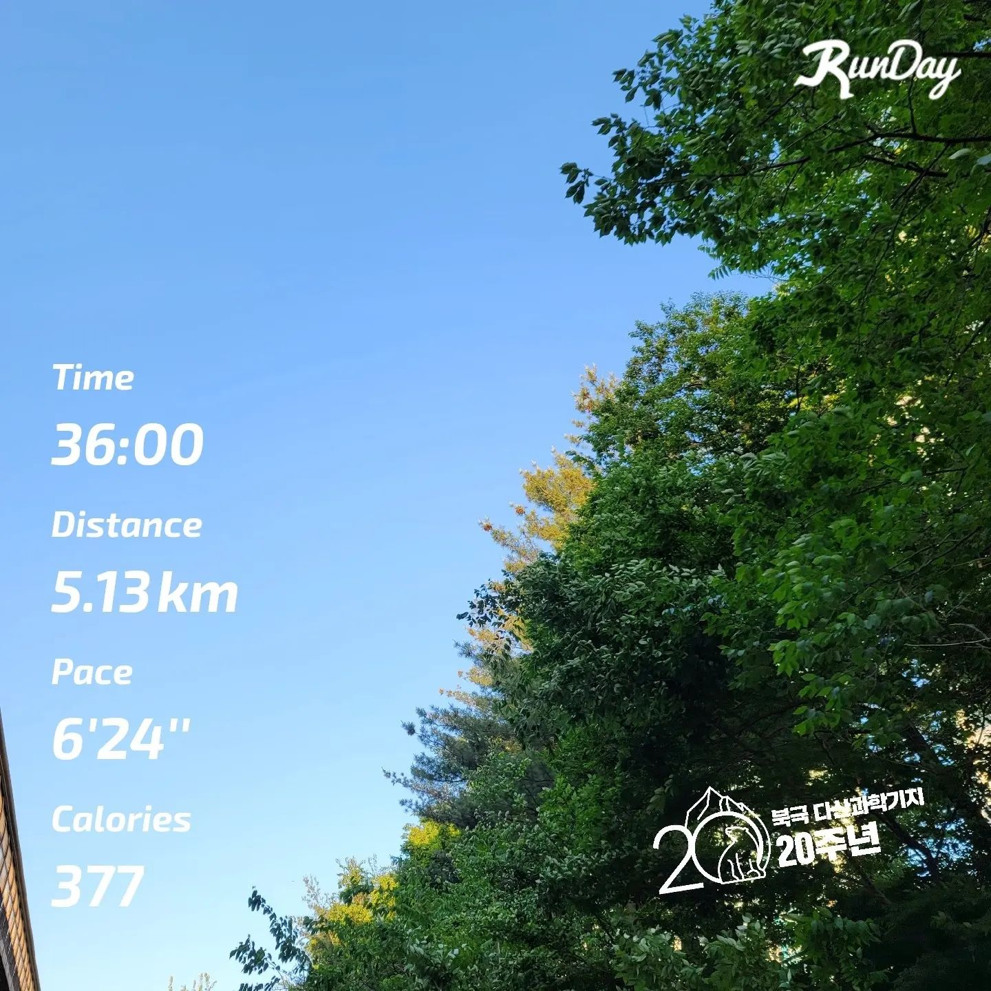 #오늘의운동 #오운완
🏃‍♀️
늘 뛰던 코스에 행사를 해서
오늘은 다른 코스로 뛰어봤어요!
근데 역시 늘 보던 풍경이 그립네요
🤭
#런데이 #런스타그램 #런닝 #러닝 #러닝스타그램 #내가해냄
#북극다산과학기지_20주년 #극지연구소 #북극런챌린지 #북극런_한마음한뜻으로달려 #여기는 중랑천