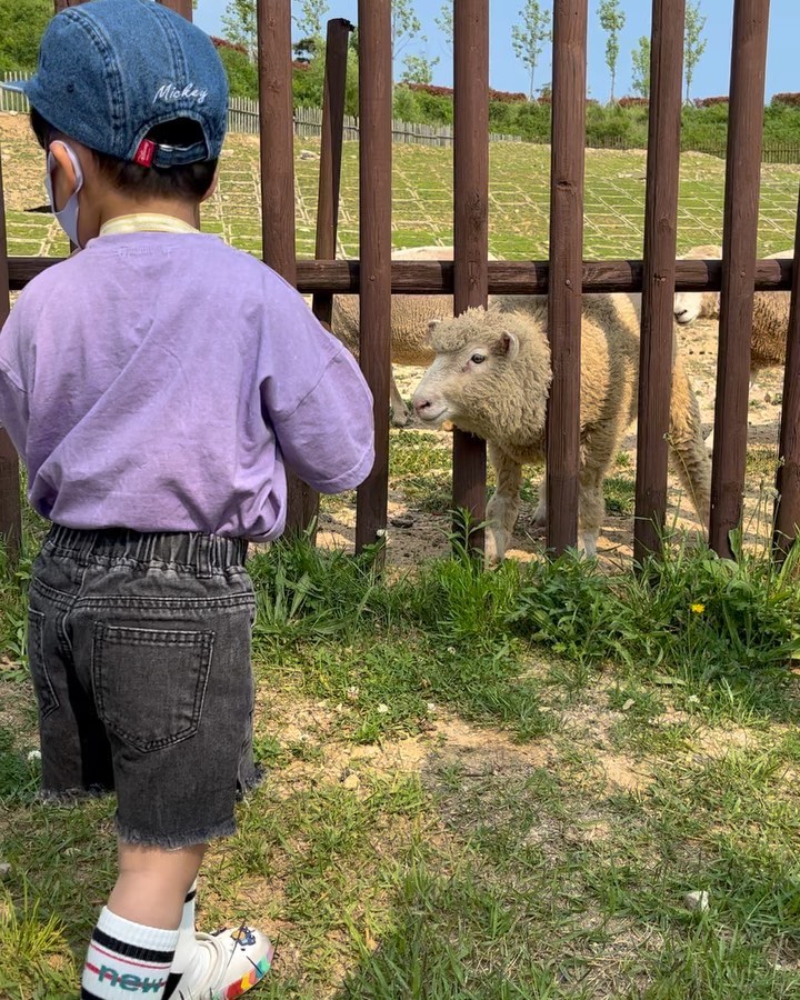 #아이와함께가볼만한곳 

가는 곳 마다 그림이였던 수목원❤️
동물이 많이는 없었지만
양, 타조, 귀여운 당나귀들이 있는
예쁜수목원 ㅎㅎ

5시에 문을 닫아서 나오기 바빴는데
다음에는 좀 일찍 가서
예쁜꽃들 보며 힐링해야지😍

#아들과함께
#주말일상
#해운대수목원🌳