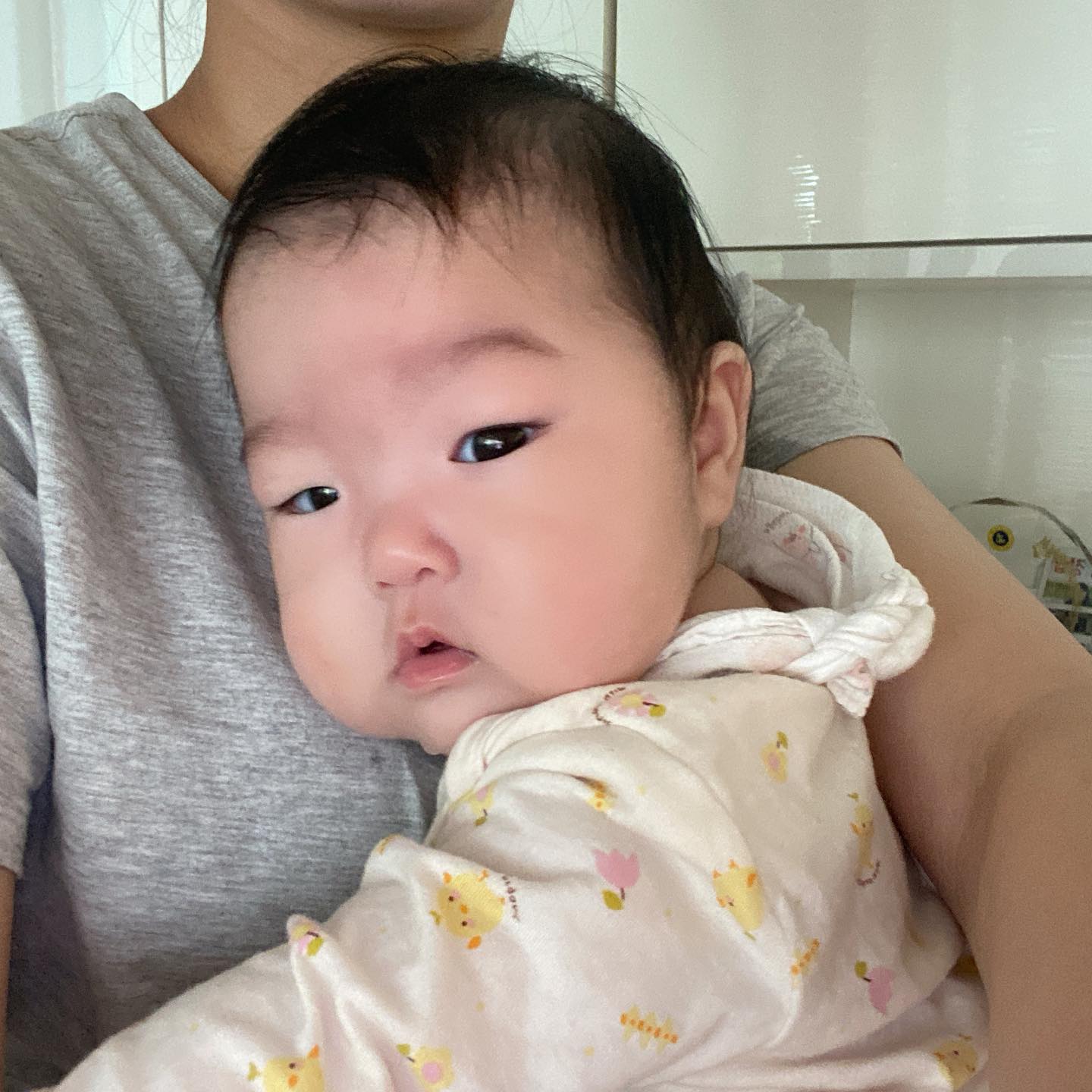 ｂｏｍｓｏｍ _

할무니 할부지의
깜찍한 강생이들🐶🐾