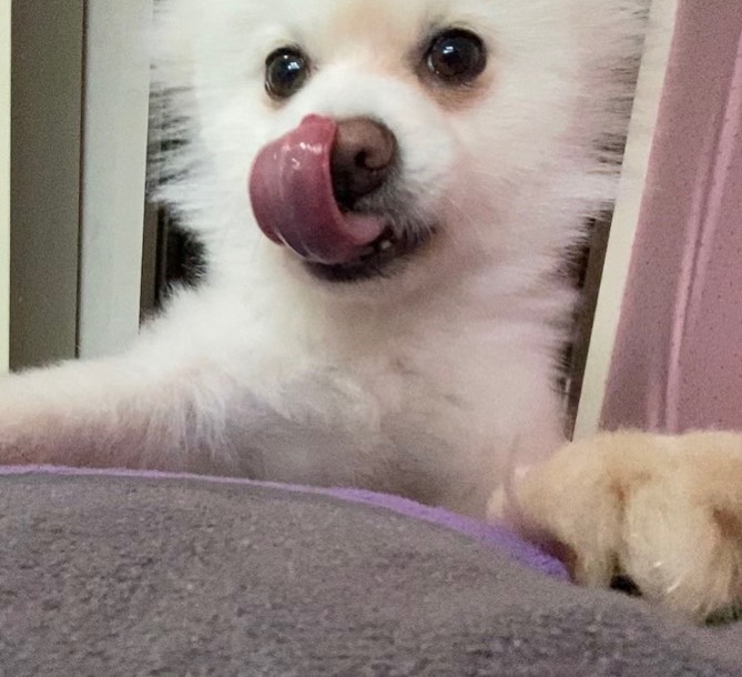 🫣🤭
