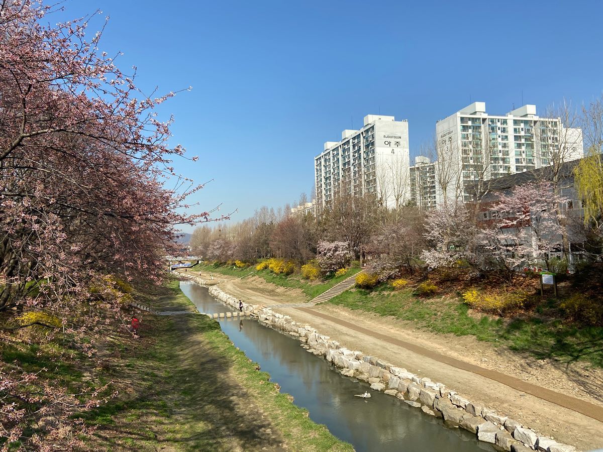 봄