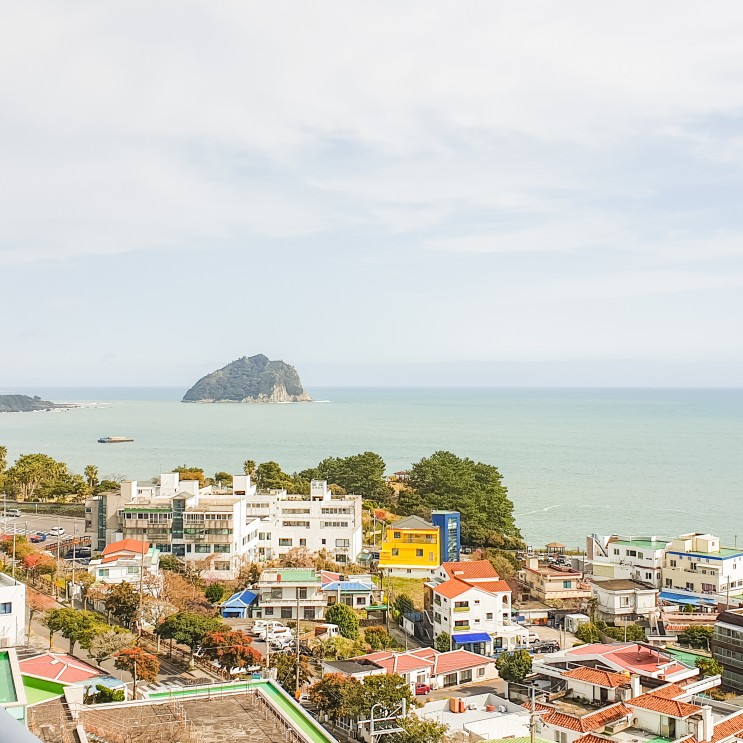 제주도 바다전망 호텔 브릿지 서귀포 / 프리미어 오션 패밀리룸