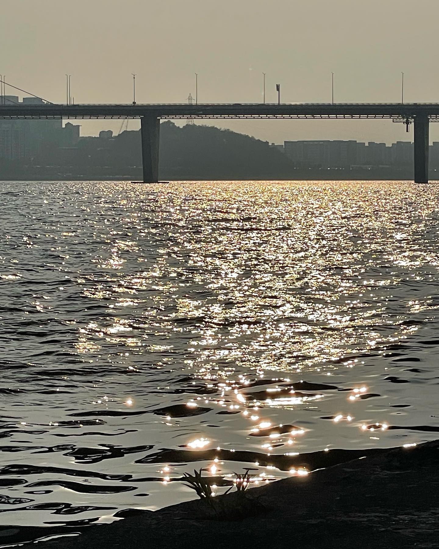 바다든 한강이든
물가와 노을이라면
언제든지🧡✨