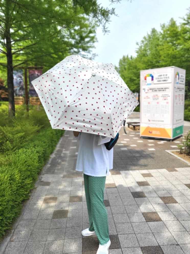 예쁜우산추천 [크로커다일우양산] 참 예쁘다!