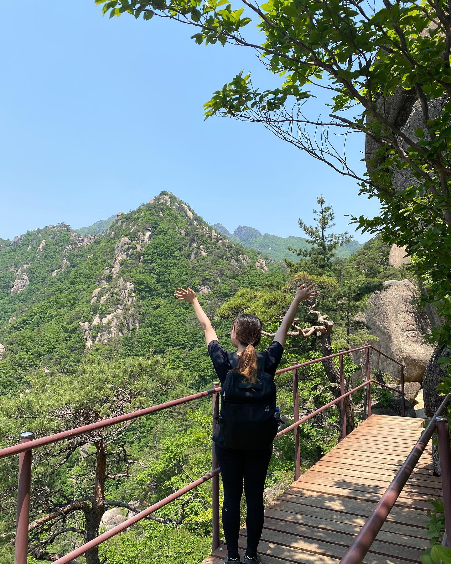 가야산 성공!(만물상)
3번째 힘들어서 주금..
4번째 정상❤️
5번째 넘어져서 당황함…(잘생김..)