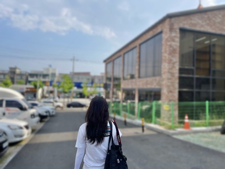 여름 필수템 팔토시 / 크로커다일 심리스 팔토시 / 골프팔토시 / 냉감쿨토시