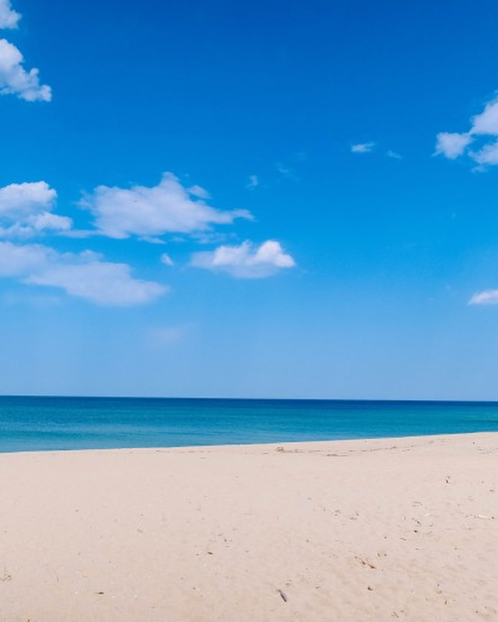 여름필터 씌운거 같은
속초여행 1일차🏖💙
#속초여행 #날씨가다했다