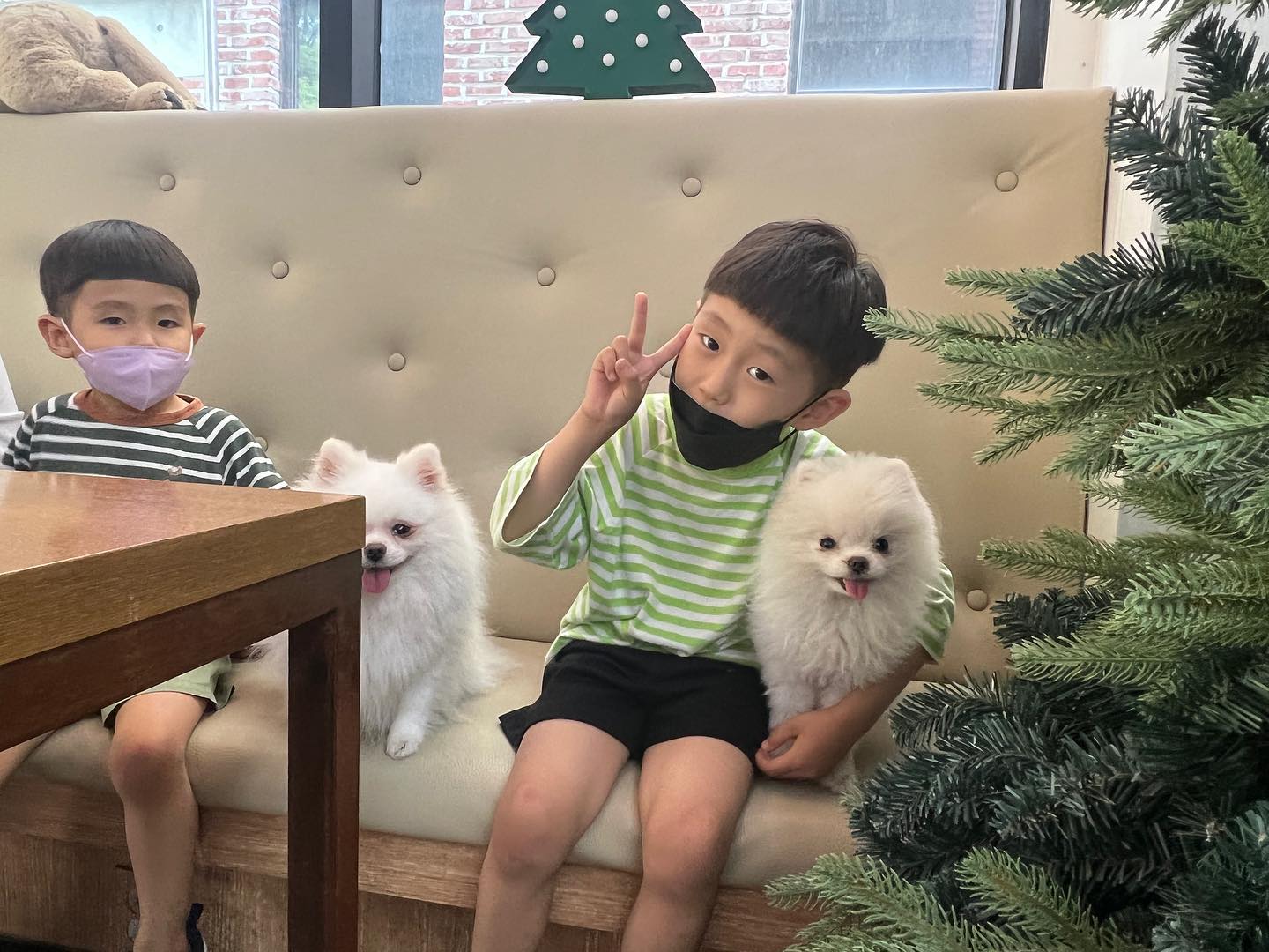 #투아mom 

동물을 사랑하는
우리 가족의 오늘 외출은
#애견카페 !☺️

집에는 이미 거북이 두마리와
골든햄스터를 키우기에
강아지를 만나기 좋은곳~

#원숭이띠맘 #개띠맘 
#개띠아들 #원숭이띠아들 
#주말외출그램 #salfe 
#salcagram #젊줌마의일상