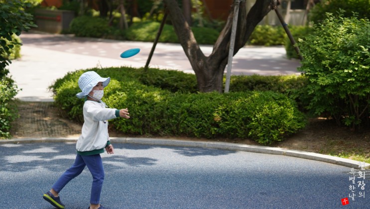 어린이장난감 와보바 원반던지기 캐치볼로 야외활동을 즐겨요
