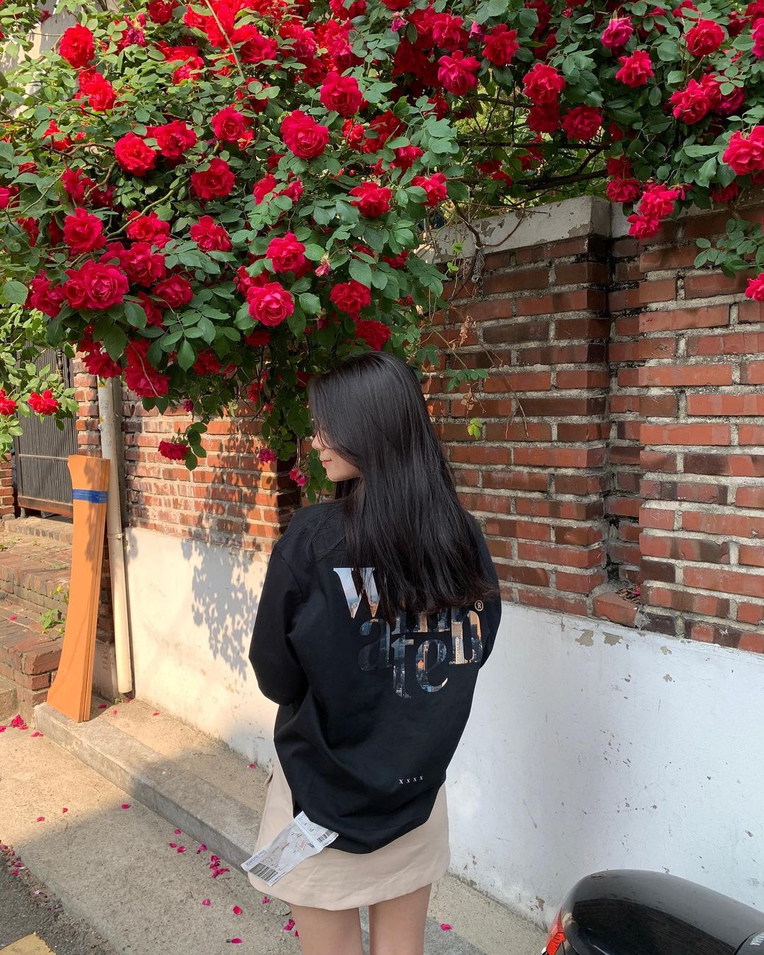 다인 (@diana.dears) posted on Instagram • May 23, 2022 at 7:37am UTC