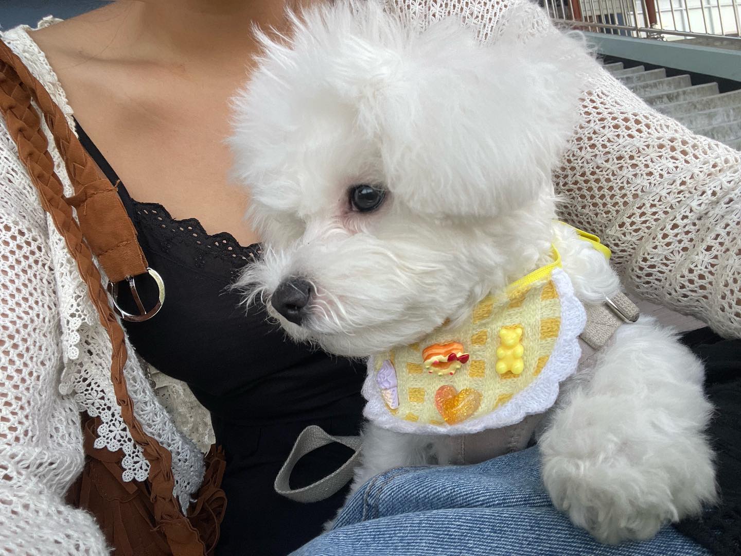 우울없는 일상