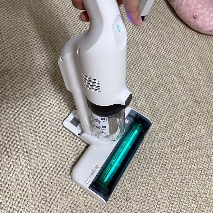 레이캅 침구청소기 RS4-100 고양이털청소 내돈내산 후기!