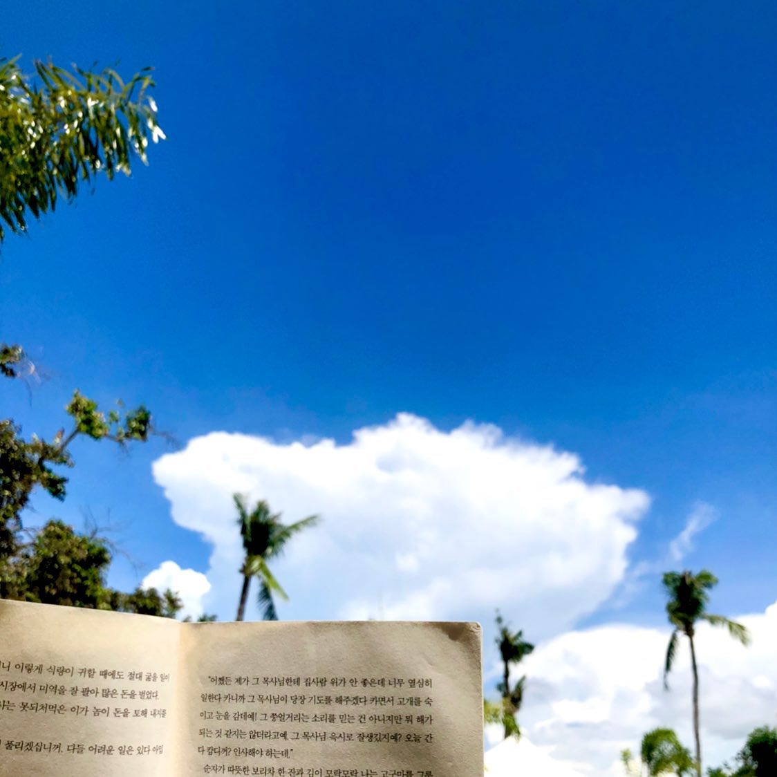 ✈️🏝