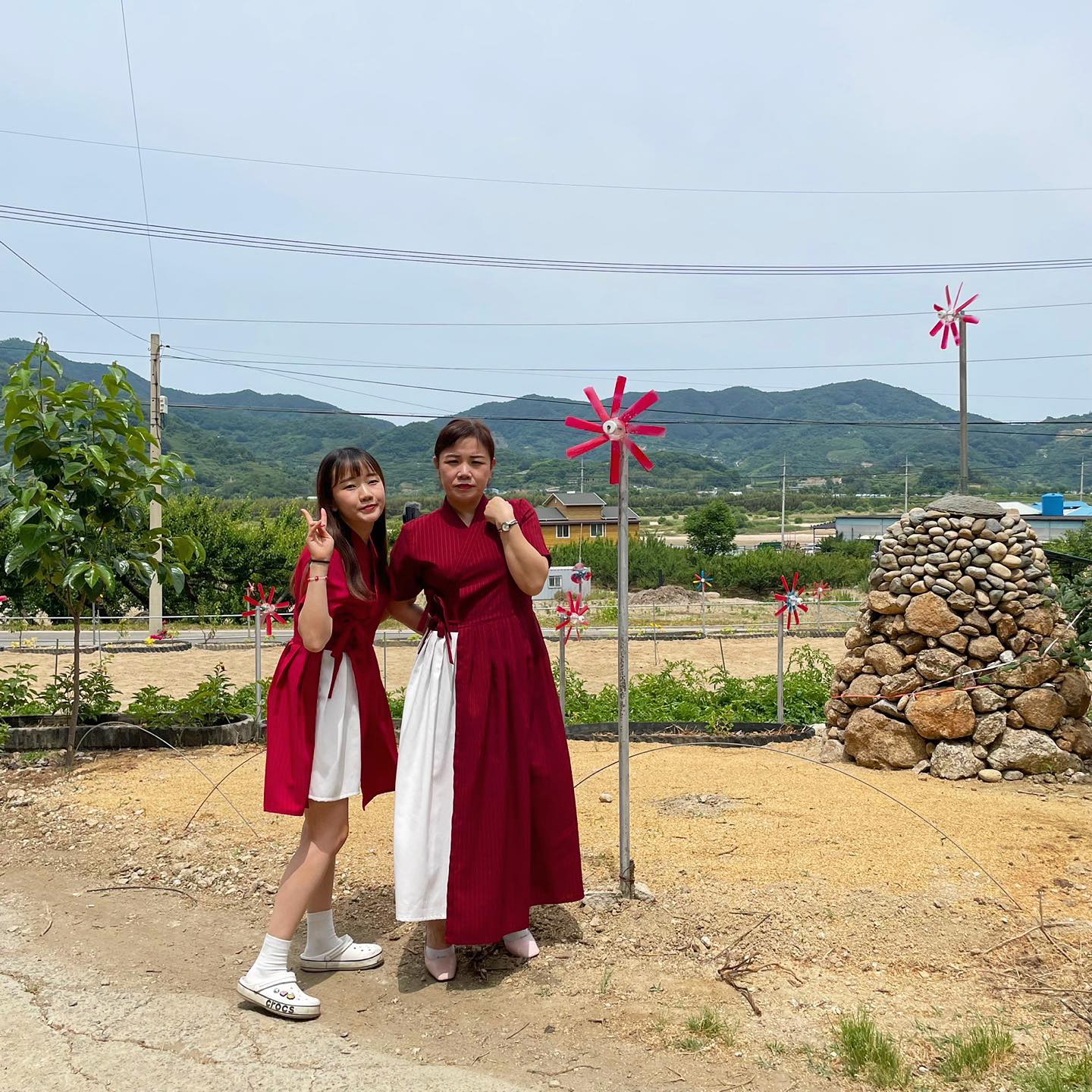 ??? : 따라는 매실은 안 따고..