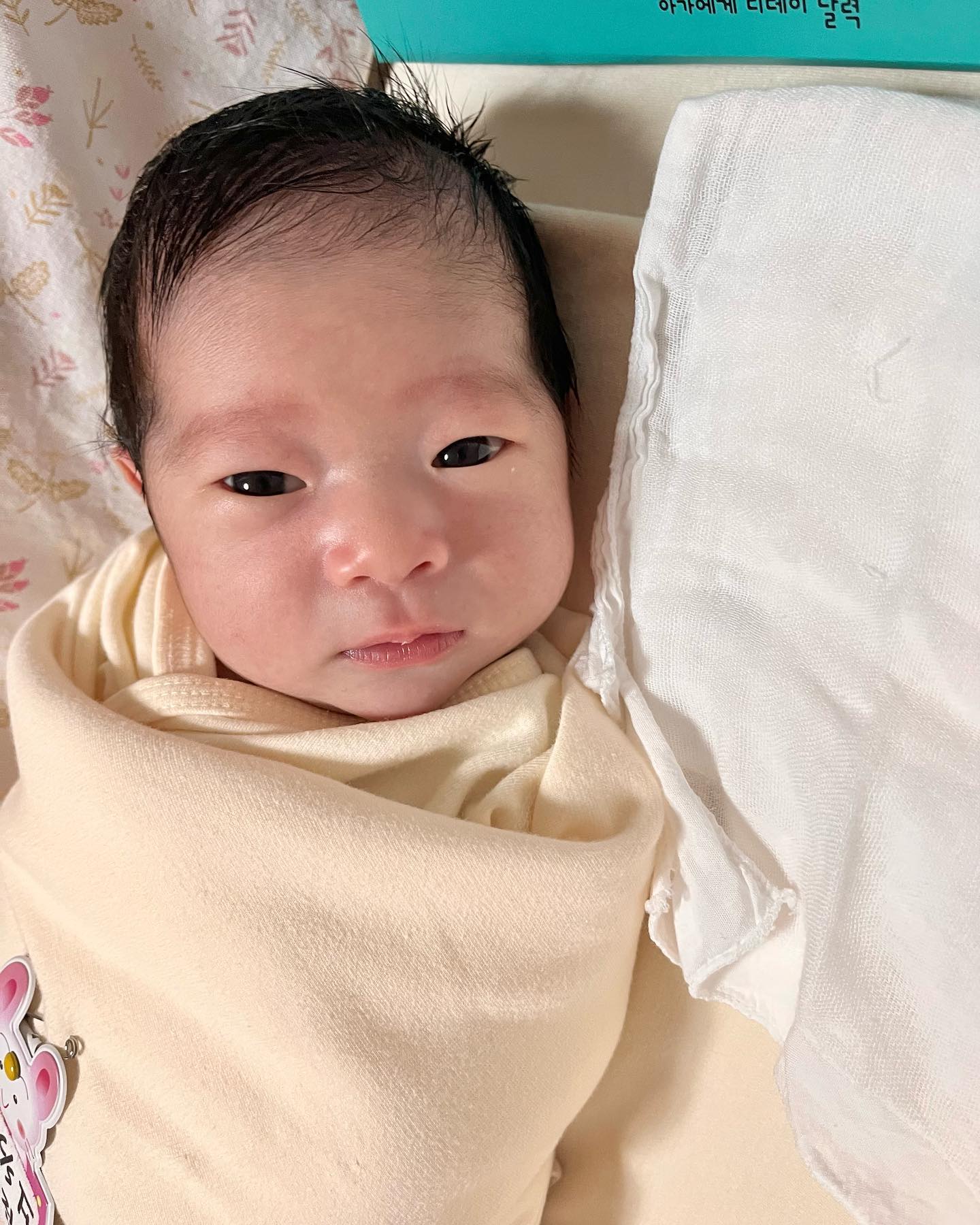 :
태어난지 8일만에 엄빠한테 안긴 아랑이
그동안 신생아실 유리사이로만 보다가 드뎌 가족상봉

첫 모자동실은 분수토로 끝났다,,,

#신생아 #흑호랑이띠아기 #호랑이띠아기