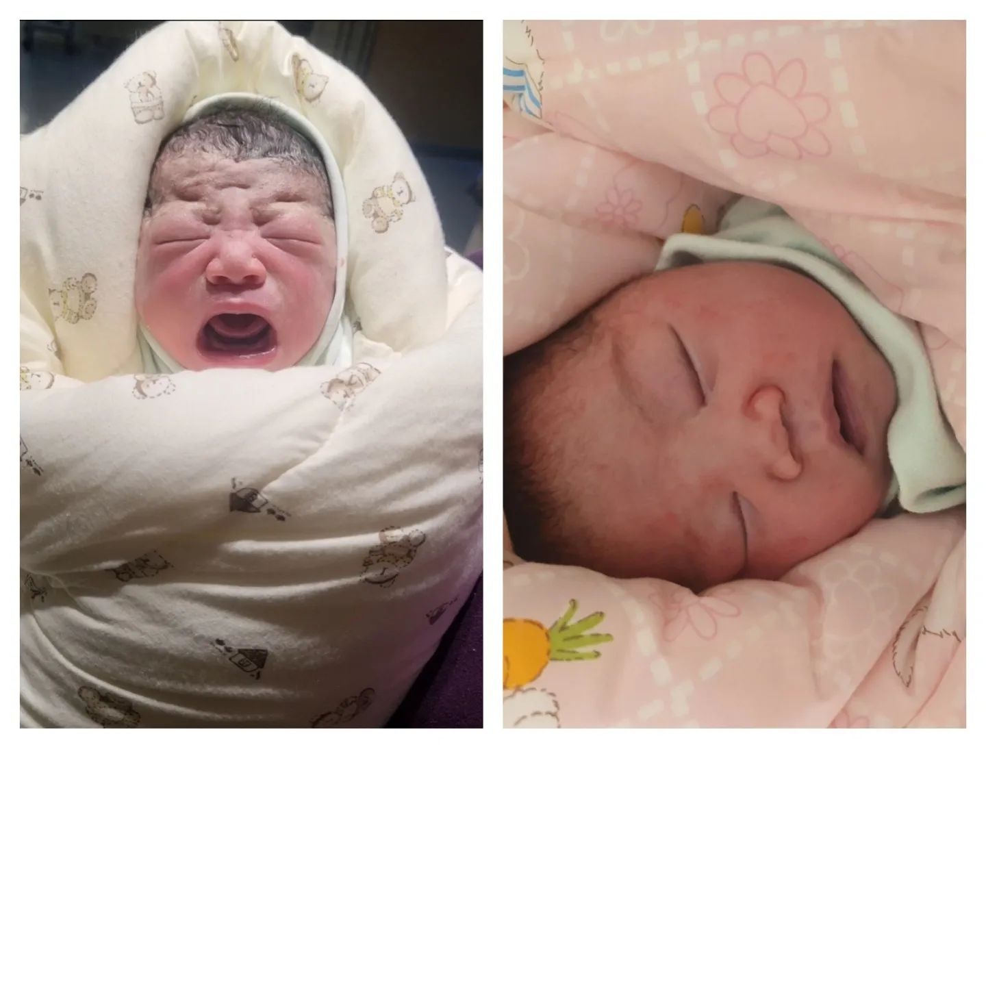 채니동생 도담이❤️

조금만 기다려~ 아빠가 이름 지어줄꺼얌
2.52kg 14:55pm