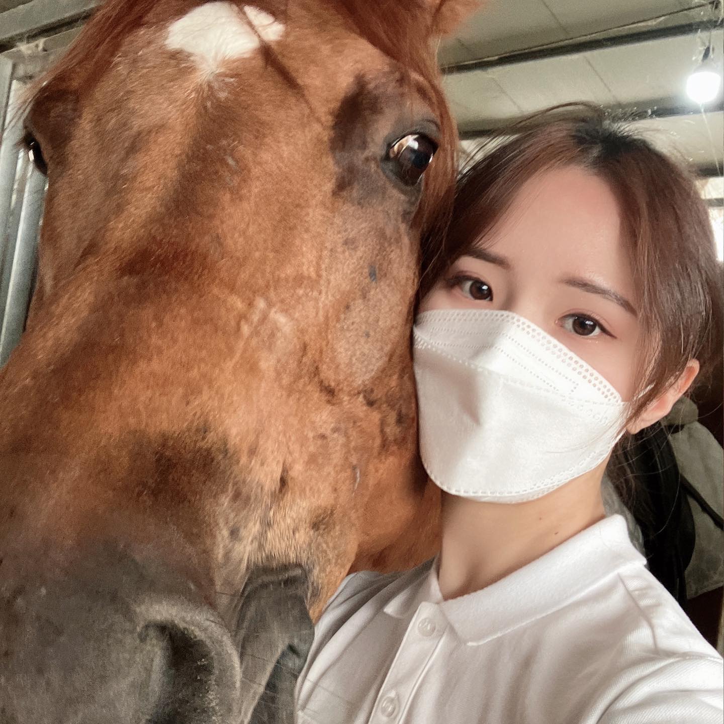 여름에는 말을 타지 맙시다😉
더위먹고 무릎도 까진 오늘🐎

날이 더워서 사람 말 가릴거 없이 땀에 찌들어버렸네🤭
다그닥 고생해써~!🐴❤

다음 기승은 가을로 잡아버릴까

+)아띠모리챌린지로 받은 제품 마방 말들이랑 다같이 나눠먹었습니다!
좋은 챌린지 열어주셔서 감사합니다🙏🏻
.
.
.
.
.
.
.
.
#승마 #취미승마 #승마초보 #승마레슨 #아띠모리 #아띠모리챌린지 #말간식 #승마스타그램 #승마클럽 #승마레슨 #다그닥 #승마인 #승마하는여자 #운동스타그램 #운동맞팔해요