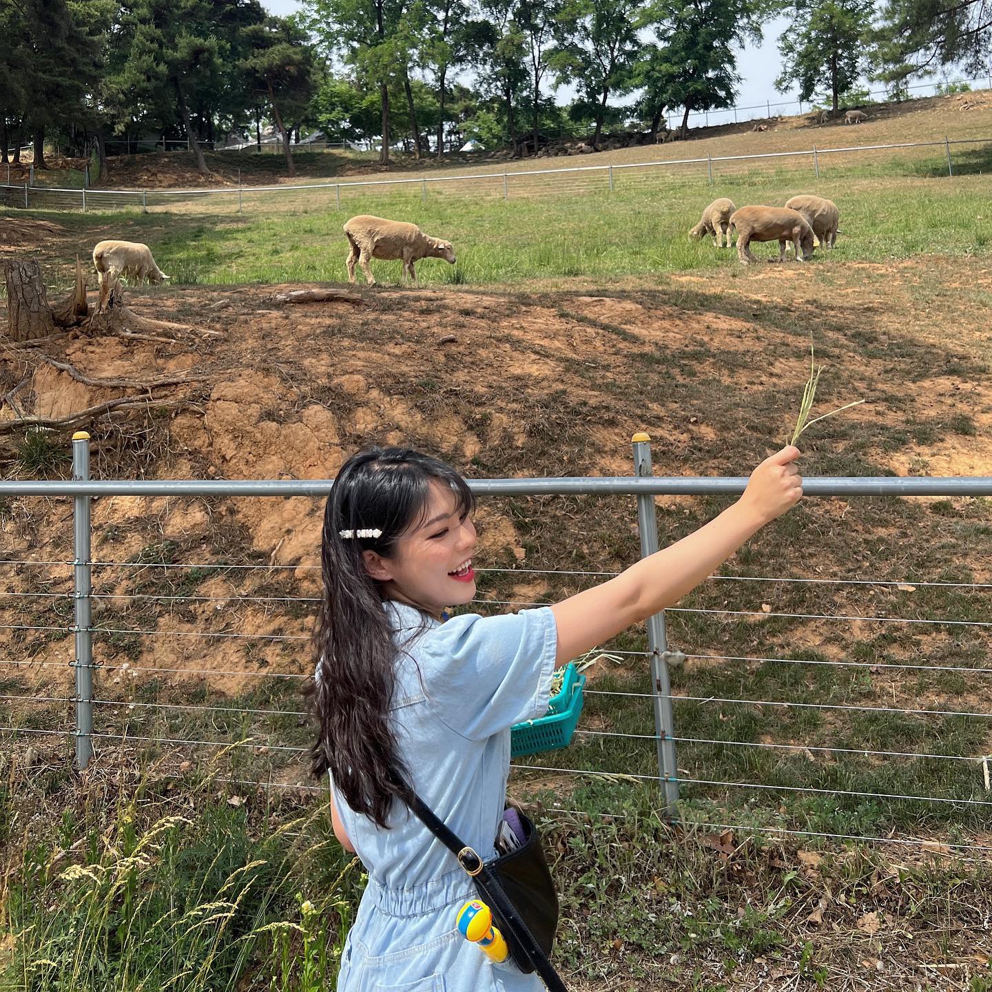 귀여운 애덜이랑 양떼목장🐑
-
죵말 귀엽구 사랑둥이인 쯀이 
내 손도 잡아주고 임호랑 잘 놀아줘놓구~
양 밥주는건 니가해?! 귀여우니까 내가할게☺️