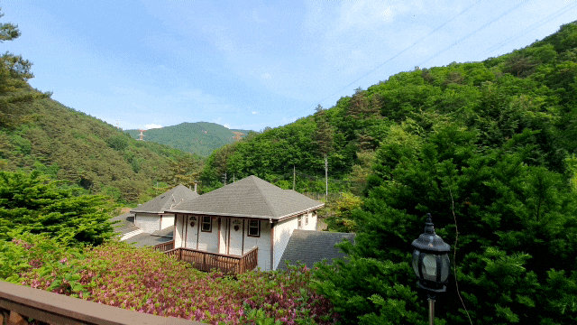평창펜션  애견 동반 가능  봉평 캠핑장 계곡 독채펜션 봄여름가을겨울