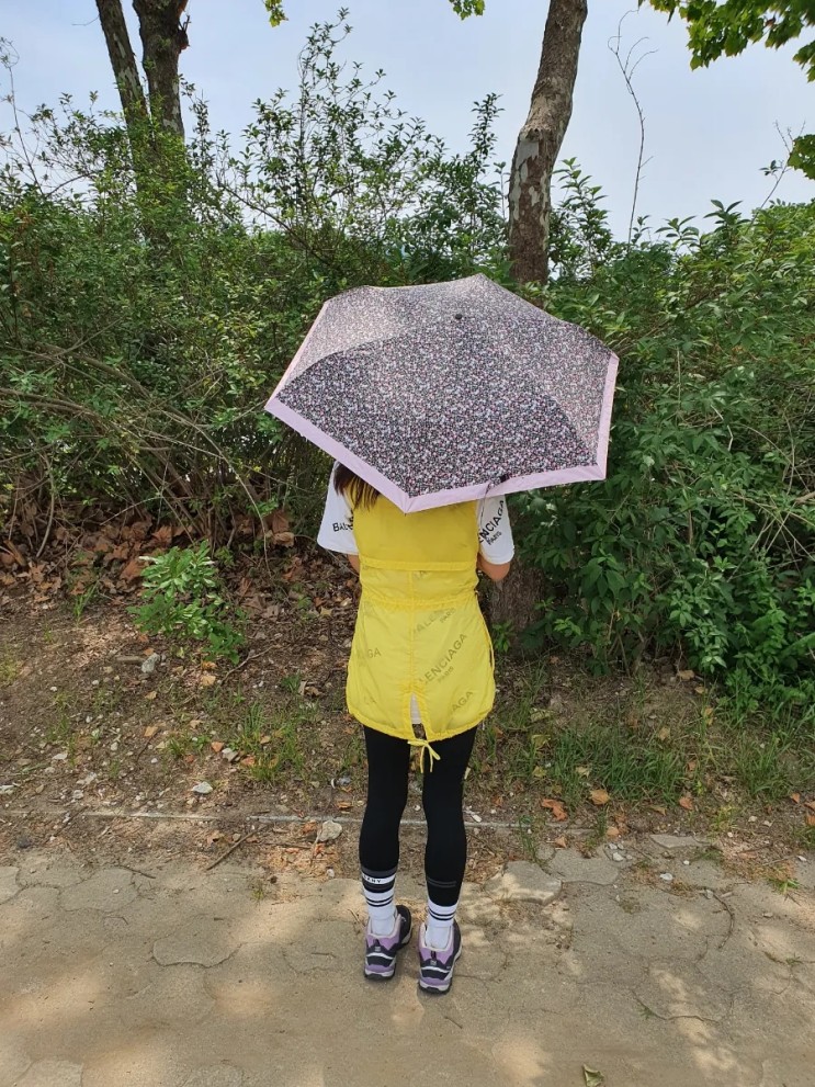 예쁜양산 크로커다일양산 UV차단양산 가볍고 이뻐요~