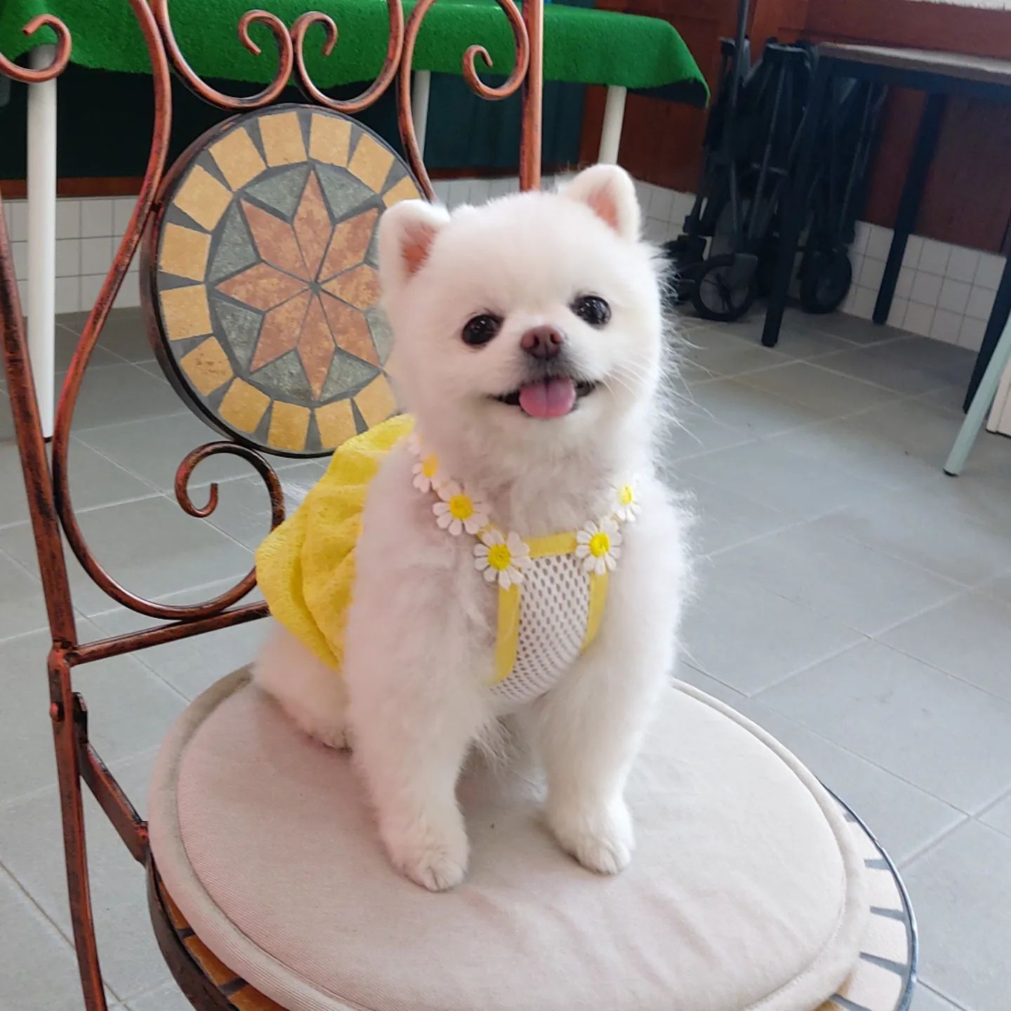 꼬까옷🌼