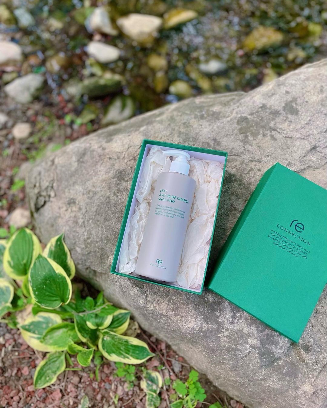 류씨랑 ℂ𝕒𝕞𝕡𝕚𝕟𝕘 𝕊𝕥𝕠𝕣𝕪 on Instagram: “#류씨랑X협찬 프리미엄 헤어케어 브랜드 #리커넥션#RECONNECTION 에서 탈모증상완화 기능성퍼퓸샴푸를 출시하여 소개시켜드리려구요