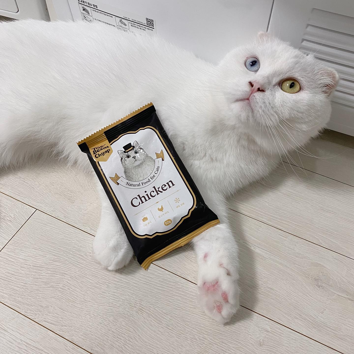 #협찬
우리 블랑이 음수량 높이기🐱
고양이는 혓바닥 구조 상 물을 마시는 데 능숙하지 못해 음식을 통해 영양과 동시에 수분을 얻어야 하는데요,
충분한 수분을 얻지 못하면 수분 부족으로 인해 수많은 질병에 걸릴 확률이 급격히 높아진대요
‘수분 부족’, ‘탄수화물 과다 섭취’, ‘단백질 섭취 부족’
이 모두 해결해줄 #고양이화식
냉장고에서 해동시킨 후 전자렌지에 살짝 데웠더니 입맛 까다로운 블랑이도 정신없이 먹는 #맛있는사료
연어, 오리, 닭 3가지 맛
영양밸런스 좋고, 소화흡수율 높은 #토빈즈챱
추천합니다:)
#고양이사료추천 #고양이습식사료 #고양이사료샘플 #하이독 #고양이음수량 #고양이음수량늘리기 #기호성좋은사료