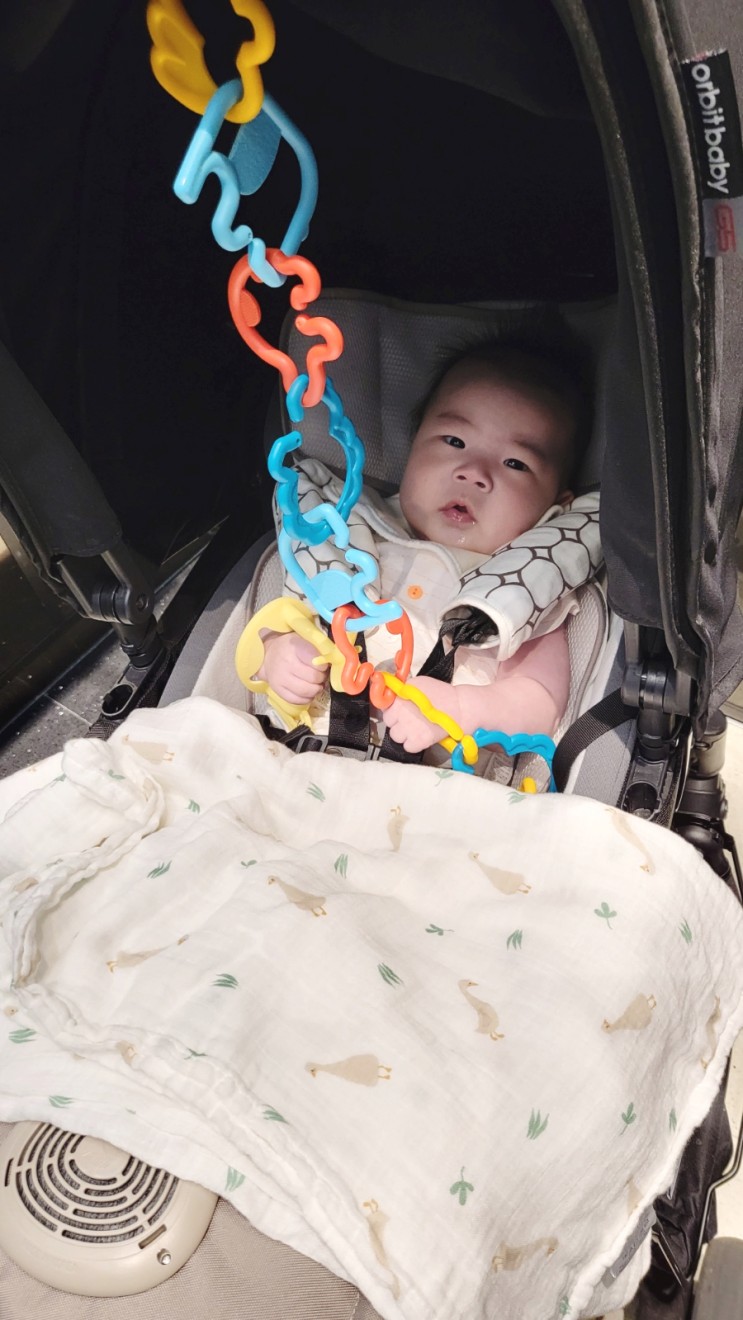 유모차,카시트 필수 장착템 여기모여! 므몽 애니멀 촉감고리셋트