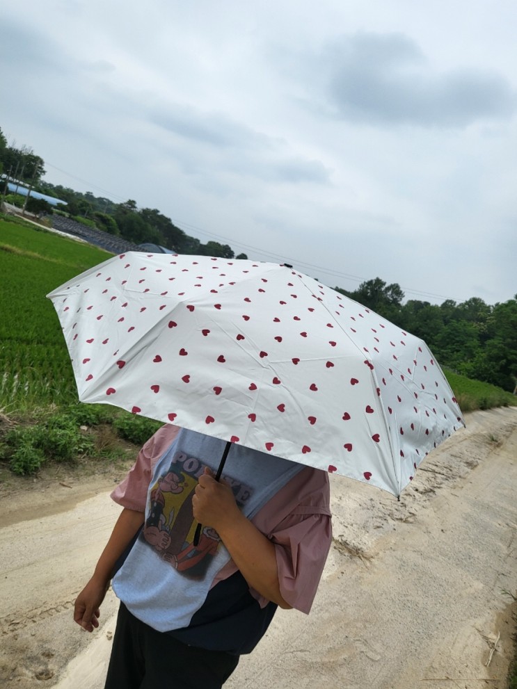 들고 다니기 좋은 크로커다일 3단 초경량양산