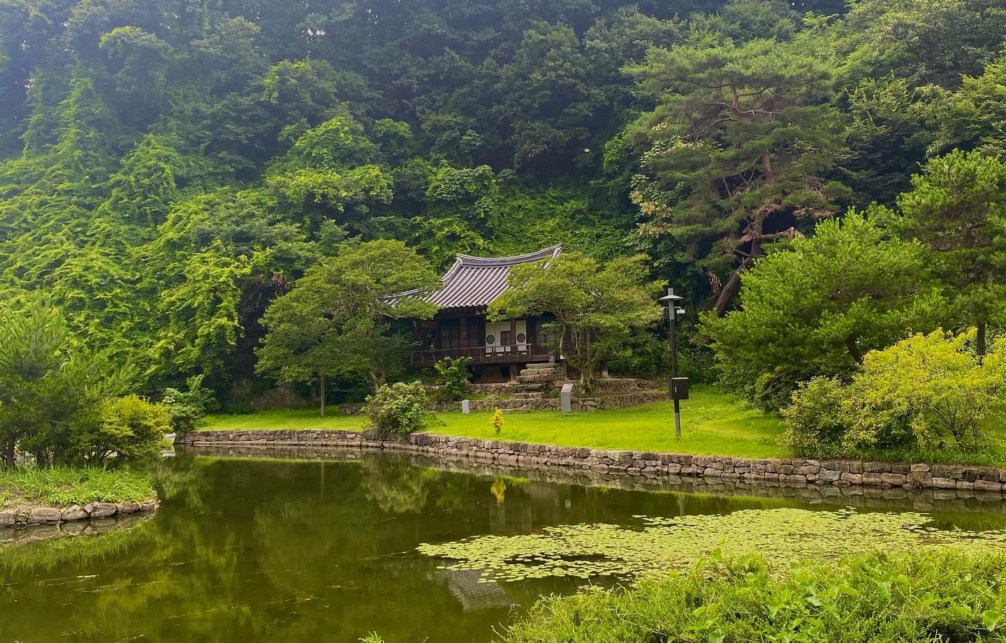 비가 와서 더 예뻤던 체화정🍃

•
•
•
#사진기록📷 #안동여행 #체화정  #여행사진 #사진스타그램 #사진여행 #사진소통 #사진계정 #사진계정맞팔 #photo #photogram